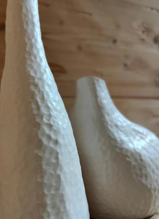 ベッド・アンド・ブレックファスト Chambre Boille A Lait Entremont