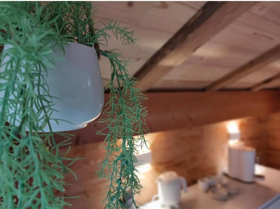 Bed & Breakfast Chambre Boille A Lait Entremont Frankrike